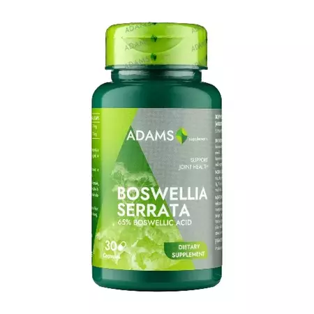 Multivitamine si minerale adulti - Extract de Tămâie Adams Vision 350 mg 30 capsule