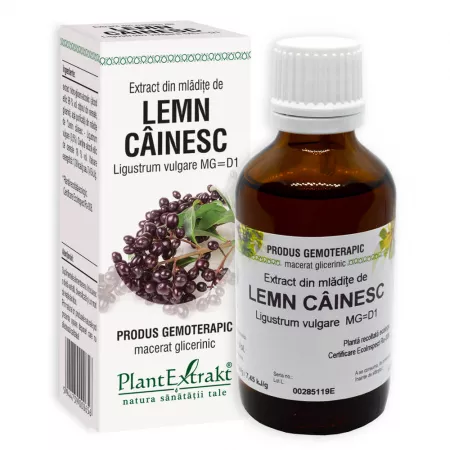 Tincturi si Gemoderivate - Extract din mlădițe de lemn câinesc 50 ml