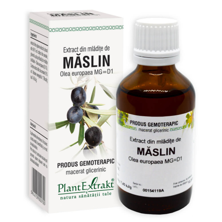 Multivitamine si minerale adulti - Extract din mlădițe de măslin 50 ml