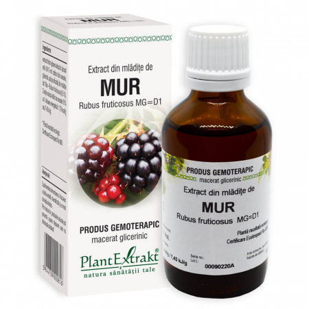 PRODUSE - Extract din mlădiţe de MUR, 50 ml