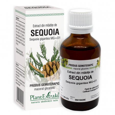 Prieteni buni... - Extract din mlădiţe de SEQUOIA, 50 ml