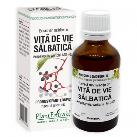 De toate cele.... - Extract din mlădiţe de VIŢĂ DE VIE SĂLBATICĂ, 50 ml