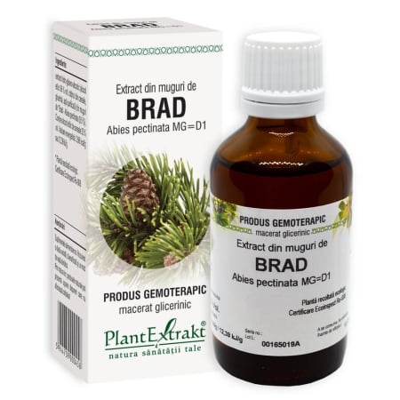Reumatologie Si Traumatisme - Extract din muguri de brad 50 ml, Plant Extract
