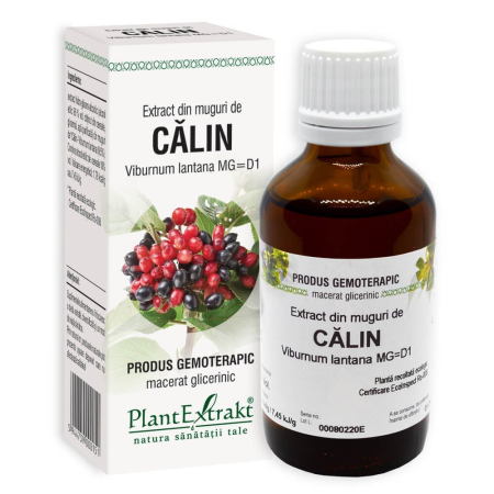 Sistemul Respirator - Extract din muguri de Călin Plant Extract 50 ml