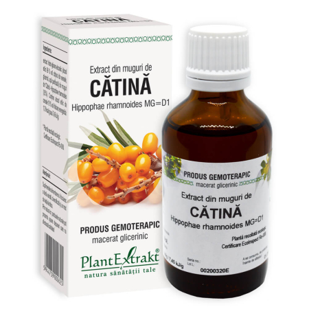 Multivitamine si minerale adulti - Extract din muguri de cătină Plant Extract 50 ml