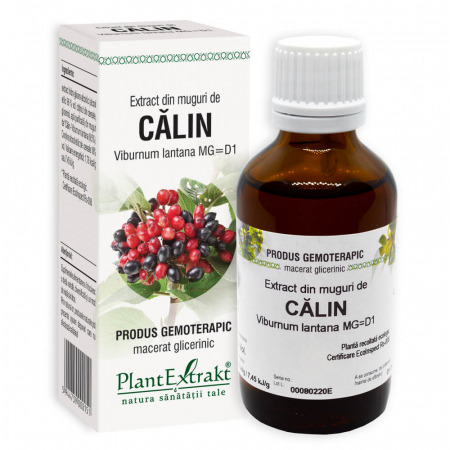 PRODUSE - Extract din muguri de CALIN, 50 ml
