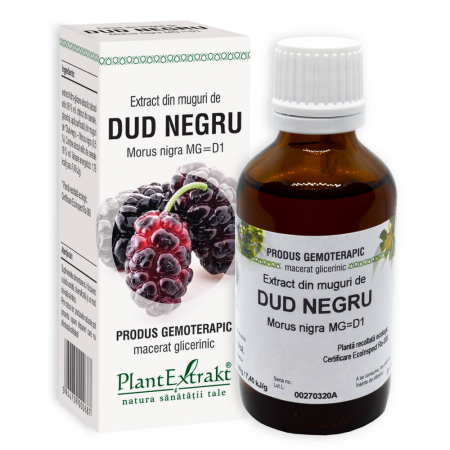 PRODUSE - Extract din muguri de DUD NEGRU, 50 ml