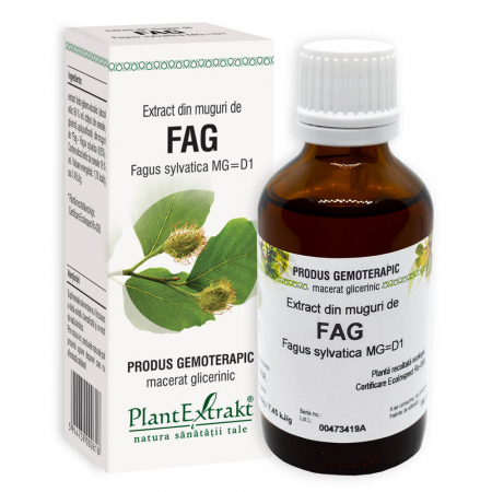 Promoțiile lunii - Extract din muguri de FAG, 50 ml
