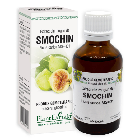 Multivitamine si minerale adulti - Extract din muguri de smochin 50 ml