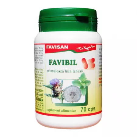 Multivitamine si minerale adulti - Favibil X 70 capsule Favisan