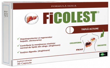 Protectie si Detoxifiere Hepatica - Ficolest Laropharm, LAROPHARM S.R.L. - ROMANIA