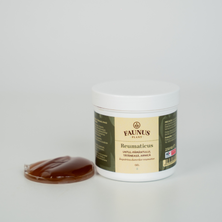 Gel Reumaticus 250ml [11]