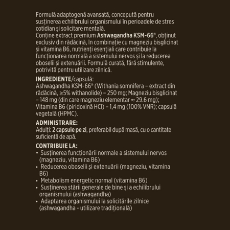 Ashwagandha KSM-66® - 60 capsule [6]