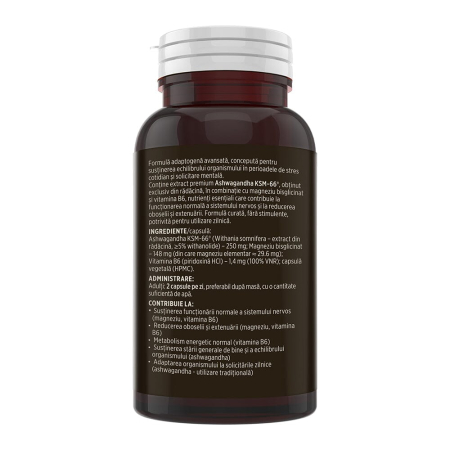 Ashwagandha KSM-66® - 60 capsule [3]