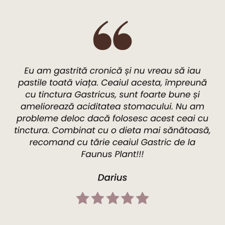 Ceai -Rețete Tradiționale- Gastric 180g [8]