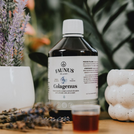 Colagenus 500ml [12]