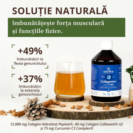 Colagenus Articulații Forte 500ml [10]