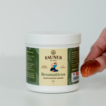 Gel Reumaticus 250ml [10]