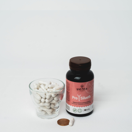 ProSilueth - 90 capsule [10]
