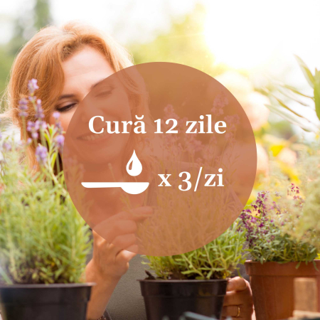 Tinctură Gastricus 200ml [8]