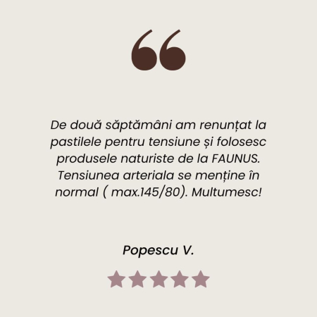 Tinctură Normotensius 200ml [9]