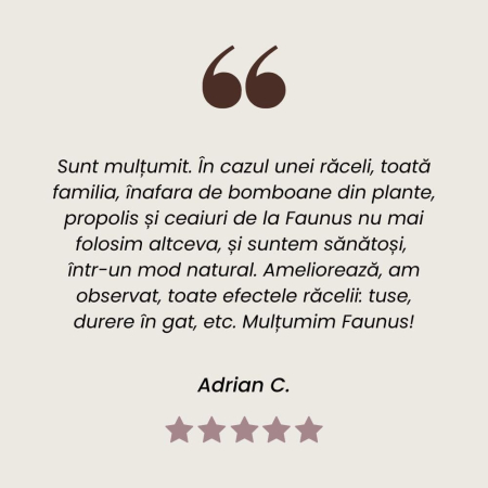 Tinctură Propolis 20ml [10]