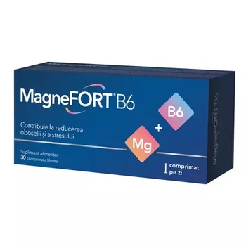 Promotiile lunii Septembrie - MagneFORT B6, 30 drajeuri