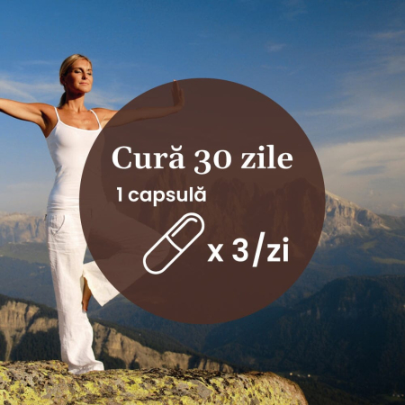 Magneziu Bisglicinat + B6 - 90 capsule [8]