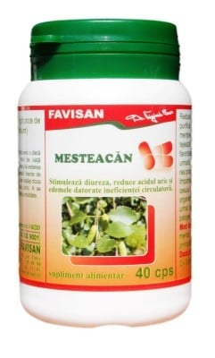Afectiuni genitale si hormonale - Mesteacăn Favisan 40 capsule