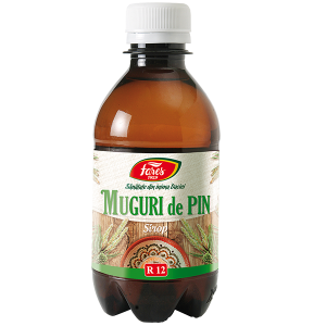 Oferte și reduceri - Muguri de pin sirop (R12), 250 ml