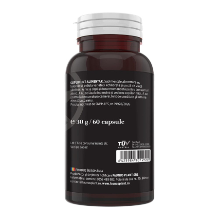 Nucă Neagră - 60 capsule [3]