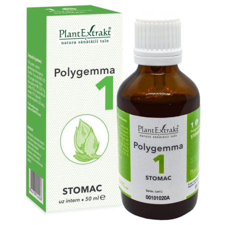 Enzime digestive - Polygemma 1 Stomac 50 ml, Plant Extract