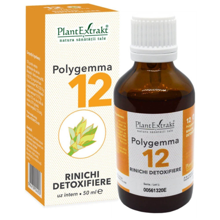 Multivitamine si minerale adulti - Polygemma 12 Rinichi Detoxifiere 50 ml Plant Extract