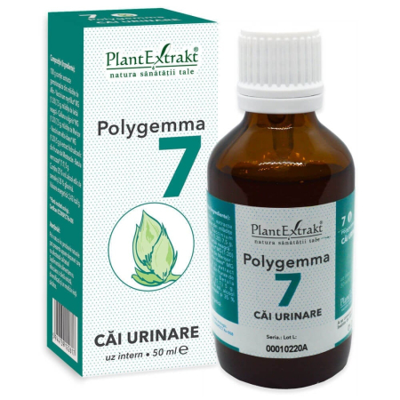 Aparatul Genital - Polygemma 7 Cai Urinare 50 ml, Plant Extract