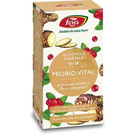 Multivitamine si minerale adulti - Probio Vital 20 capsule Fares