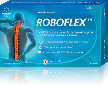 Multivitamine si minerale adulti - Roboflex 30 capsule GOOD DAY