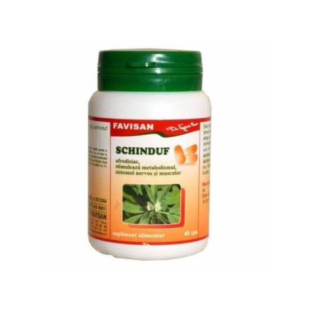 Vitamine Si Suplimente - Schinduf Favisan 40 capsule