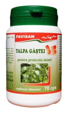 Cardioprotectoare - Talpa Gâștei 70 capsule Favisan