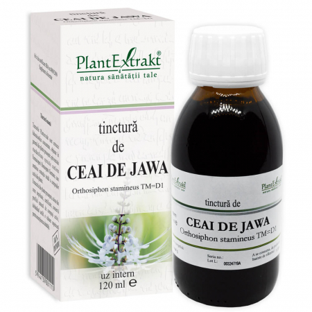 PRODUSE - Tinctură de CEAI DE JAWA, 120 ml
