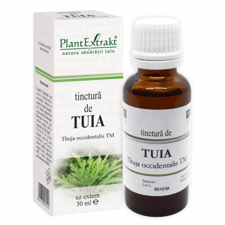 Altele - Tinctură de TUIA - Thuja occidentalis TM, 30 ml