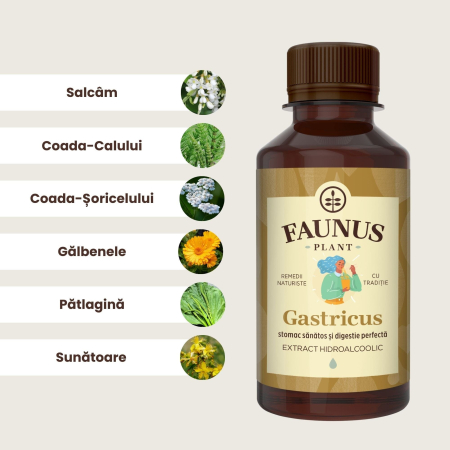 Tinctură Gastricus 200ml [4]