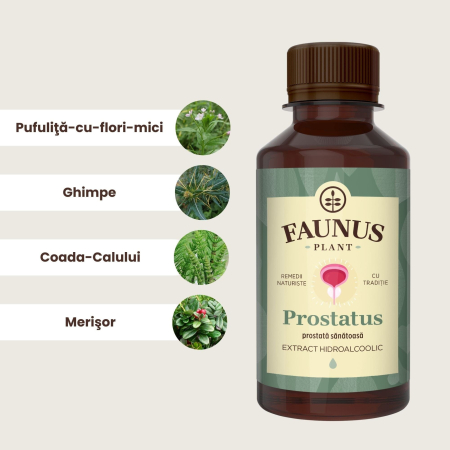 Tinctură Prostatus 200ml [4]