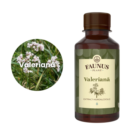 Tinctură Valeriană 200ml [4]