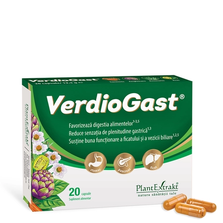 Multivitamine si minerale adulti - Verdiogast 20 capsule Plant Extract