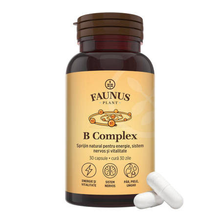 Vitamine și minerale - Vitamin B complex - 30 capsule