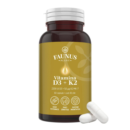Vitamine și minerale - Vitamina D3 + K2 - 60 capsule