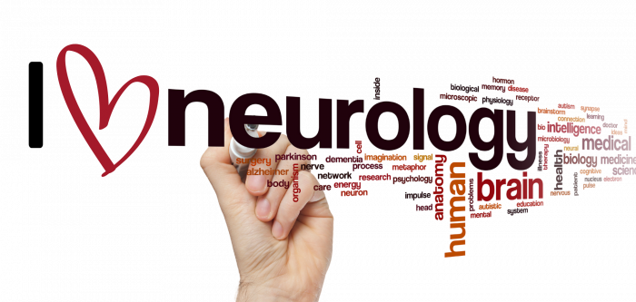 Cană cadou doctor, Iubesc neurologia, eCADOU, PRM1002 [3]