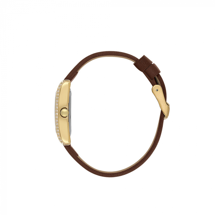 Ceas Daniel Klein Premium DK.1.13896.4 [2]