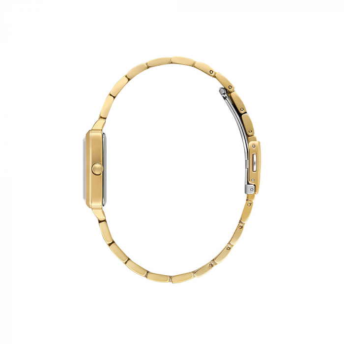 Ceas Daniel Klein Premium DK.1.13941.3 [2]