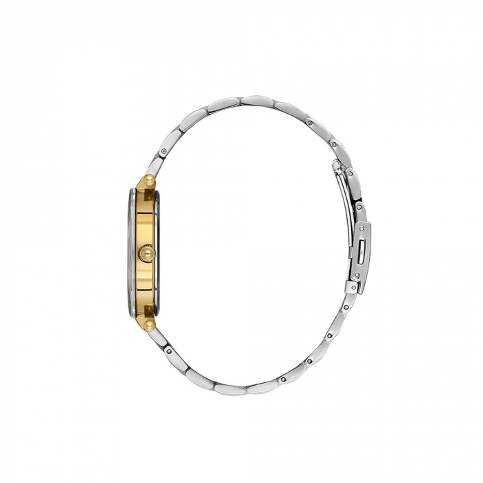 Ceas Daniel Klein Premium DK.1.13954.3 [2]